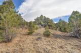 31950 Forest Service Road 376 - Photo 15