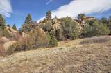 31950 Forest Service Road 376 - Photo 16
