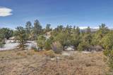 31950 Forest Service Road 376 - Photo 17