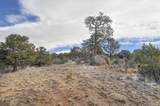 31950 Forest Service Road 376 - Photo 18