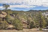 31950 Forest Service Road 376 - Photo 23