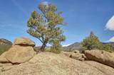 31950 Forest Service Road 376 - Photo 27