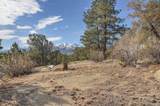 31950 Forest Service Road 376 - Photo 28