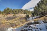 31950 Forest Service Road 376 - Photo 31