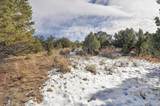 31950 Forest Service Road 376 - Photo 33