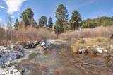 31950 Forest Service Road 376 - Photo 37
