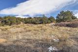 31950 Forest Service Road 376 - Photo 39