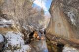 31950 Forest Service Road 376 - Photo 5