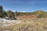 31950 Forest Service Road 376 - Photo 41