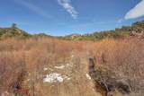 31950 Forest Service Road 376 - Photo 42