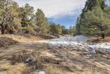 31950 Forest Service Road 376 - Photo 45