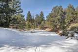 31950 Forest Service Road 376 - Photo 46