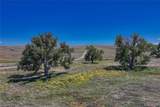  Fiddleback Ranch Road - Photo 28