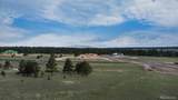  Bison Meadows Court - Photo 7