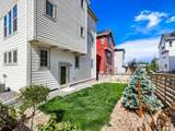 7442 Whiteclover Trail - Photo 19