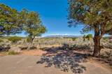 6949 Debutts Place - Photo 45