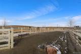 5105 Beartrack Point - Photo 42