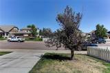 3798 Majestic Trail - Photo 38
