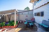 7335 Maple Drive - Photo 34