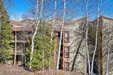 2401 Ryan Gulch Court - Photo 12