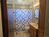1309 Mount Elbert Drive - Photo 15