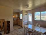 1309 Mount Elbert Drive - Photo 10