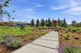 315 Shadycroft Drive - Photo 45