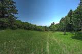 13884 Trail Circle - Photo 11