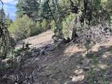 314 Arrastre Road - Photo 13