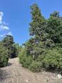 314 Arrastre Road - Photo 14