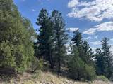 314 Arrastre Road - Photo 5