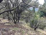 314 Arrastre Road - Photo 7