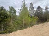 30304 Aspen Turn - Photo 5
