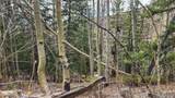 6435 Bronfman Road - Photo 13