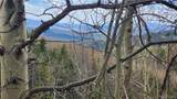 6435 Bronfman Road - Photo 16
