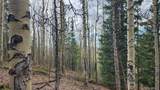 6435 Bronfman Road - Photo 8