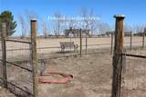 22500 County Road 39 - Photo 30