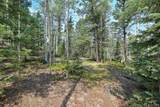 114 Mt Powderhorn Lane - Photo 19