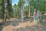 114 Mt Powderhorn Lane - Photo 21