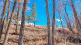 16953 County Road 306 - Photo 36