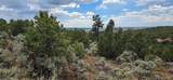 Lot 4401 Melcarth Road - Photo 28