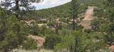 Lot 4401 Melcarth Road - Photo 6