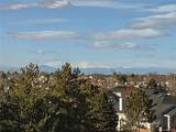 3241 Yampa Way - Photo 26