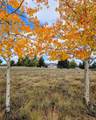 3561 Singletree Road - Photo 31