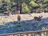 3561 Singletree Road - Photo 36