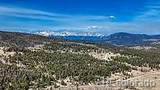 3561 Singletree Road - Photo 40