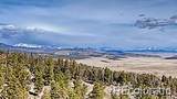 3561 Singletree Road - Photo 42