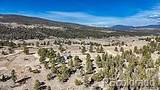 3561 Singletree Road - Photo 43