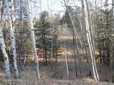 430 Pinon Lane - Photo 4