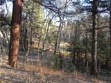 430 Pinon Lane - Photo 5